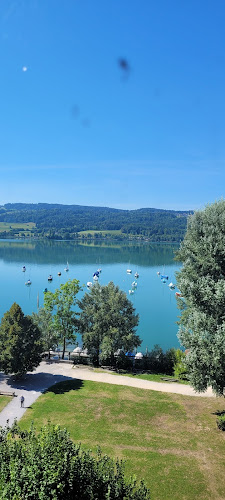 Stiftung Schloss Greifensee - Kulturzentrum