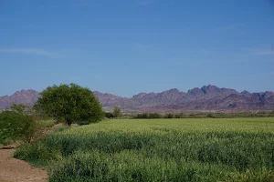 Cibola National Wildlife Refuge image