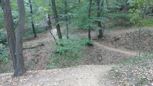  alt='Љубазно особље и квалитетан рад (бојење тканина) су одлике које поседује ово предузеће. Заиста све препоруке. '
