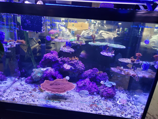 Pet Store «Claremont Pet & Aquarium Center», reviews and photos, 201 Washington St, Claremont, NH 03743, USA