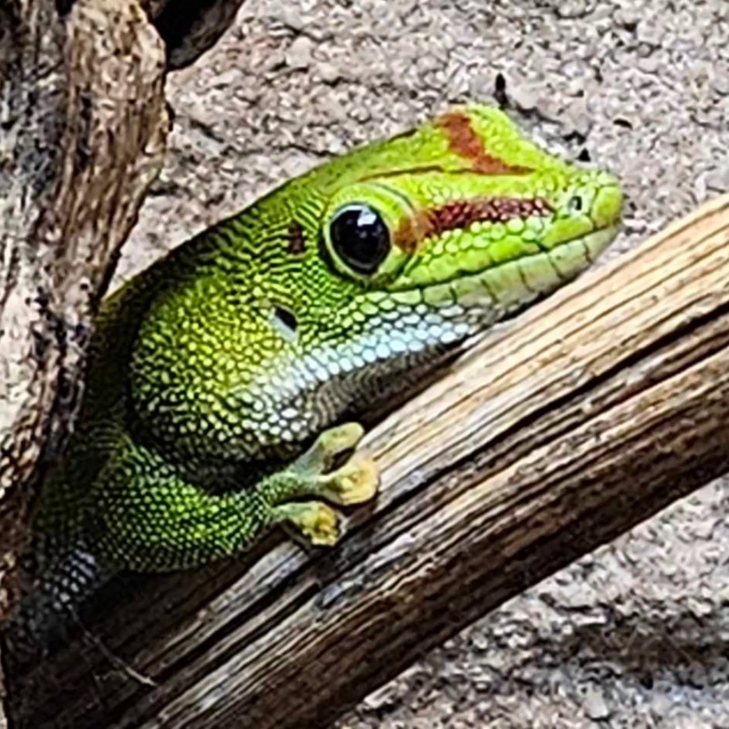 Photo n° 7 de l'avis de luderw. fait le 27/07/2023 à 15:56