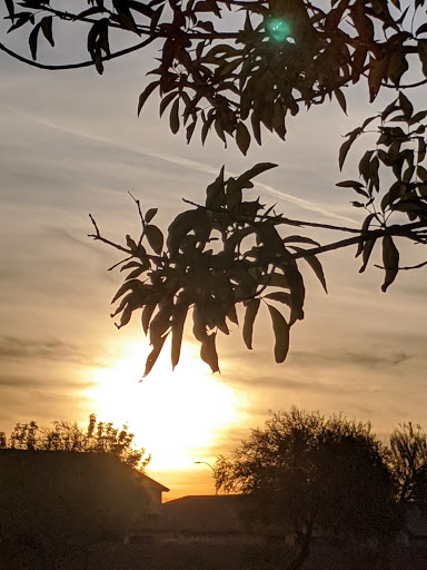 Park «Chuckwalla Park», reviews and photos, 4600 E Doral Dr, Chandler, AZ 85249, USA