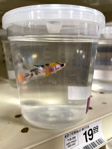 Pet Supply Store «PetSmart», reviews and photos, 157 Levittown Pkwy B, Levittown, PA 19055, USA