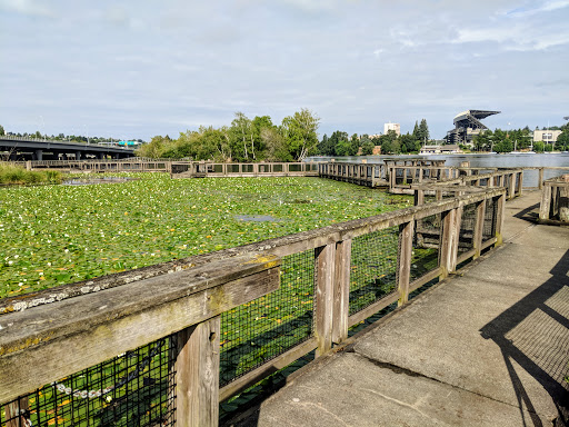Botanical Garden «Washington Park Arboretum - UW Botanic Gardens», reviews and photos, 2300 Arboretum Dr E, Seattle, WA 98112, USA