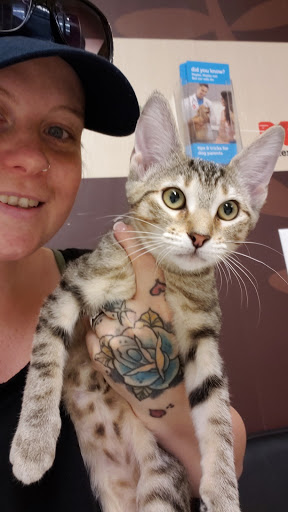 Pet Supply Store «Petco Animal Supplies», reviews and photos, 17132 W Colfax Ave, Golden, CO 80401, USA