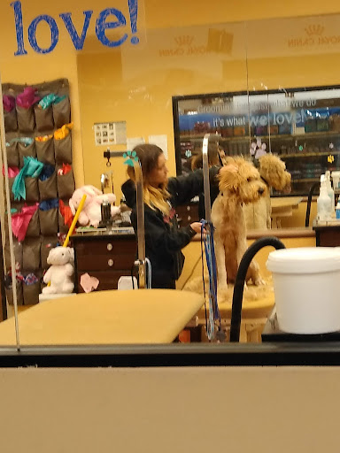 Pet Supply Store «PetSmart», reviews and photos, 1020 Veterans Pkwy #900, Clarksville, IN 47129, USA