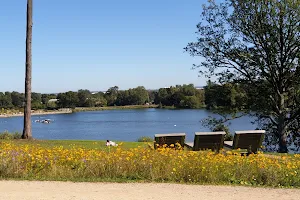 Trentham Lake image