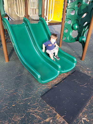 Park «Baybridge Park», reviews and photos, 10020 Bridgeton Dr, Westchase, FL 33626, USA