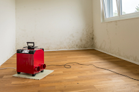 All Dry Basement Systems - Photo 2 - Car repair in , Danbury