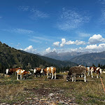Photo n°3 de l'avis de Ele.a fait le 14/09/2023 à 06:38 sur le  Hotel Pizzo degli Uccelli à Castello Tesino