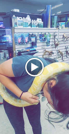 Tropical Fish Store «Fishy Business», reviews and photos, 911 E Church St, Lexington, TN 38351, USA