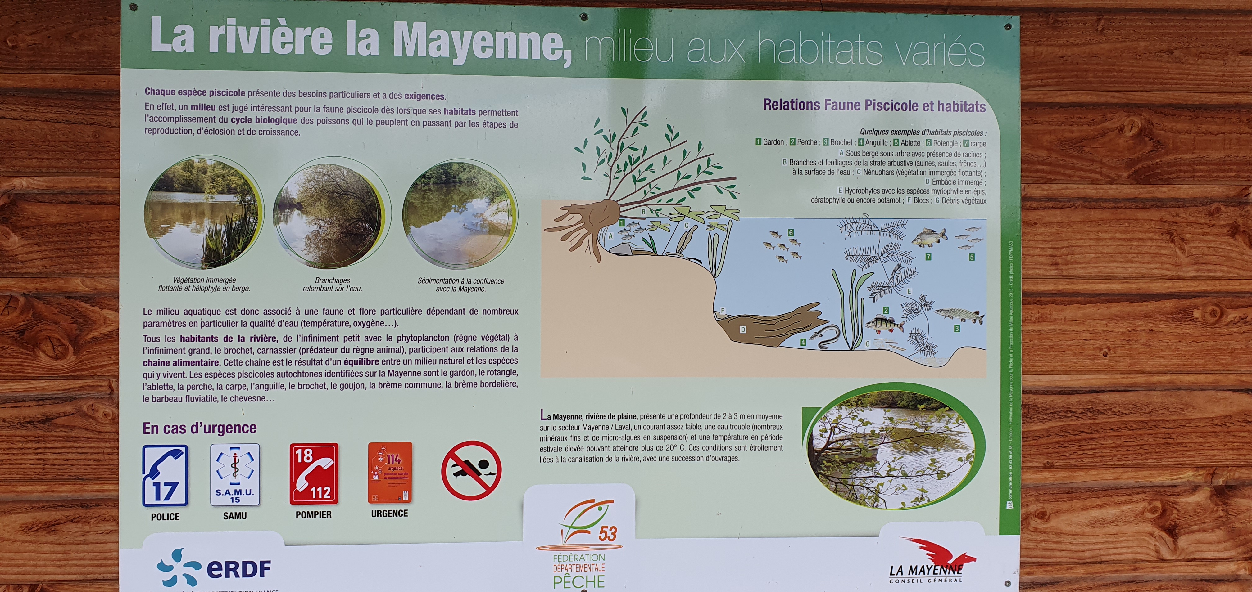 Photo n° 3 de l'avis de Dav.u fait le 03/07/2020 à 17:42