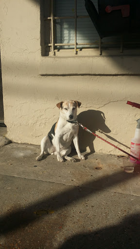 Car Wash «EaDo Hand Car Wash», reviews and photos, 2919 Leeland St, Houston, TX 77003, USA