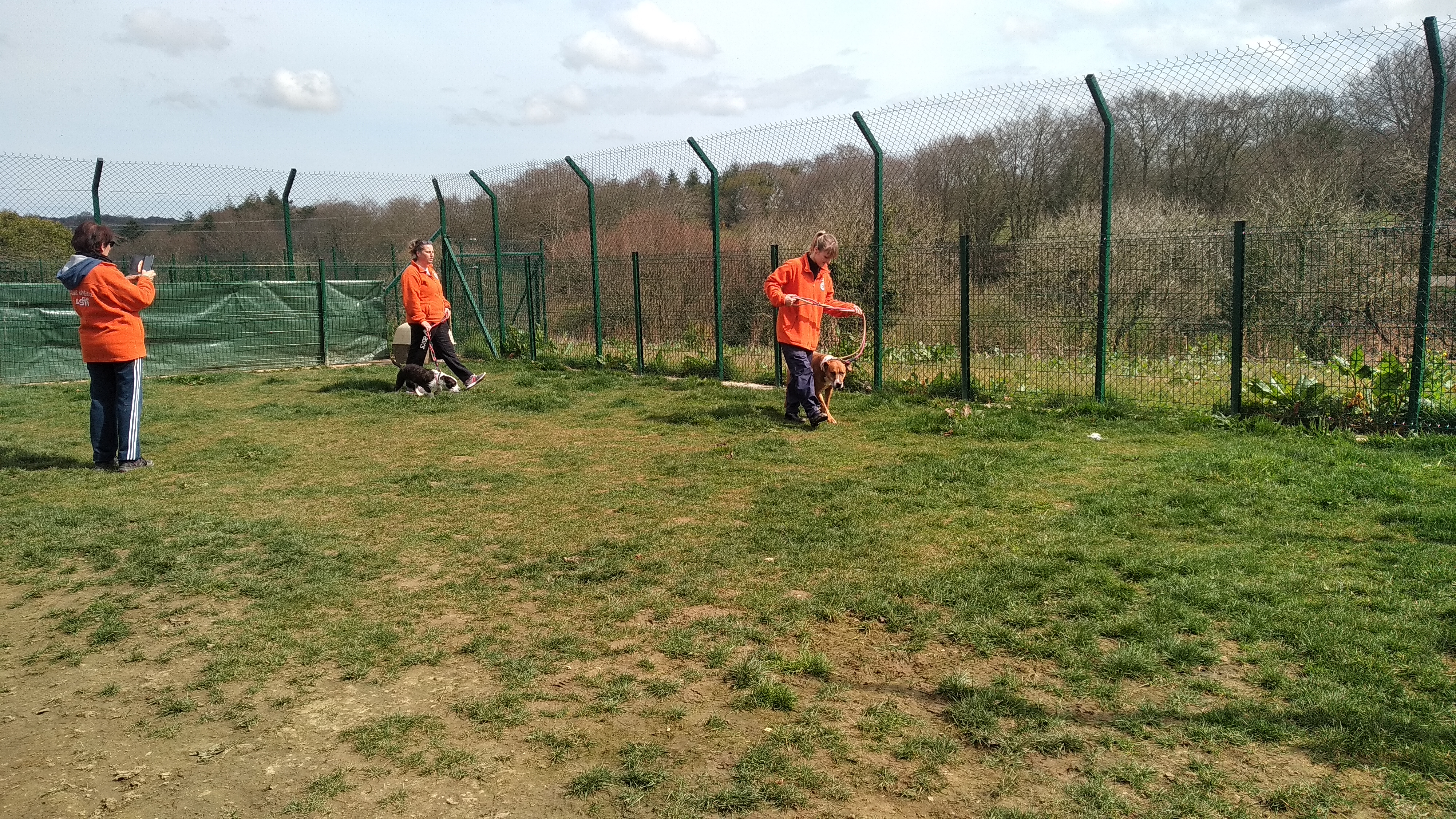 Photo n° 2 de l'avis de Jason.a fait le 06/04/2019 à 10:41