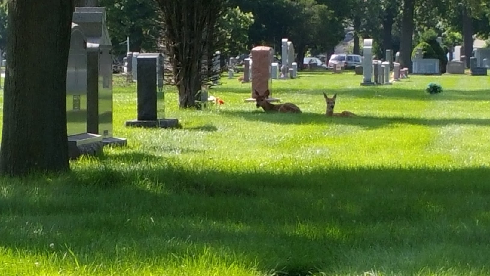 Queen of Heaven Catholic Cemetery & Mausoleums