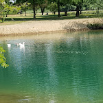 Photo n°3 de l'avis de Alessandra.e fait le 05/07/2022 à 09:35 sur le  Lago dell'Olmo à Tornaco