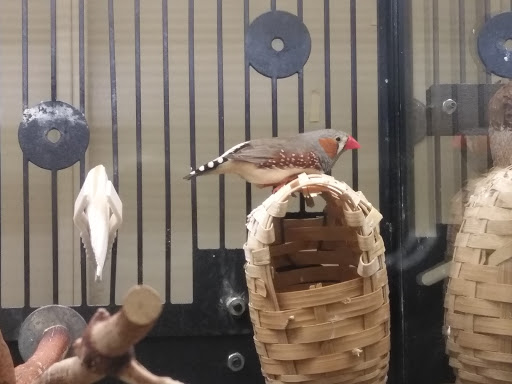 Pet Supply Store «PetSmart», reviews and photos, 2784 Wilma Rudolph Blvd, Clarksville, TN 37040, USA