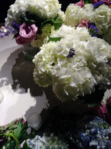 Event Venue «Gallery of Amazing Things», reviews and photos, 481 S Federal Hwy, Dania Beach, FL 33004, USA