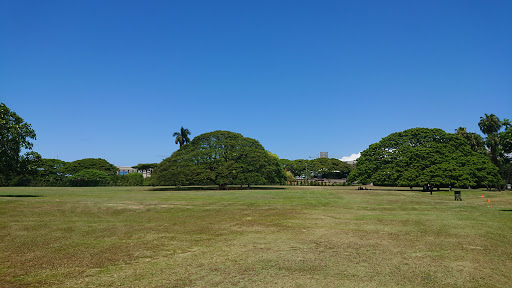 Moanalua Gardens Koi Pond