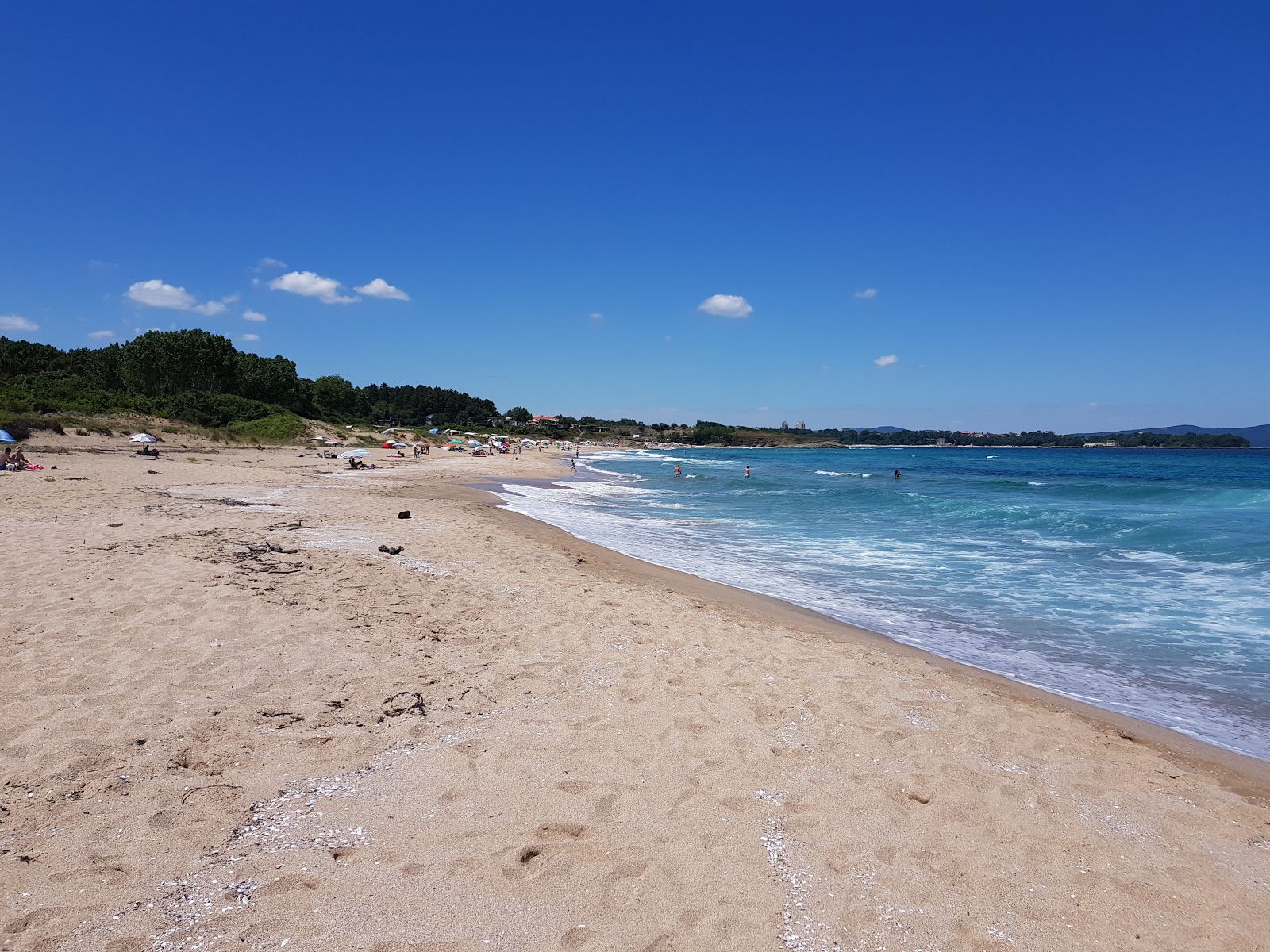 Foto di Coral beach con una superficie del sabbia beige