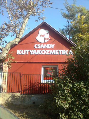 Csandy Kutyakozmetika - Kistarcsa