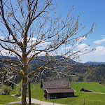 Photo n°3 de l'avis de Arthur.. fait le 01/05/2019 à 11:52 sur le  Sackmann´s Panoramahütte à Baiersbronn