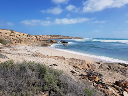 Foto av Cactus Beach med hög nivå av renlighet
