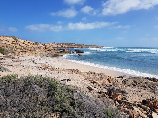 Cactus Beach