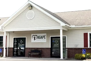 Agape Physical Therapy Brockport NY image