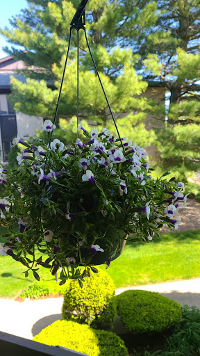 Garden Center «Seasons of New England Gardens & Gifts», reviews and photos, 479 Warwick Ave, Warwick, RI 02888, USA