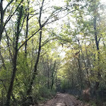 Photo n°4 de l'avis de Luca.i fait le 30/11/2020 à 06:43 sur le  Agriturismo Tenuta Monte la Guardia à Castel Giuliano