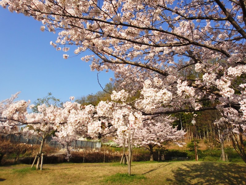 上原第２公園