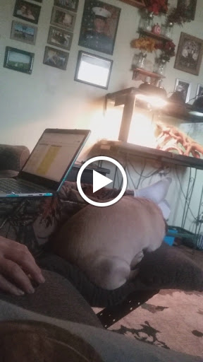 Bowling Alley «Vista Lanes Bowling Center», reviews and photos, 550 Oriskany Blvd, Yorkville, NY 13495, USA