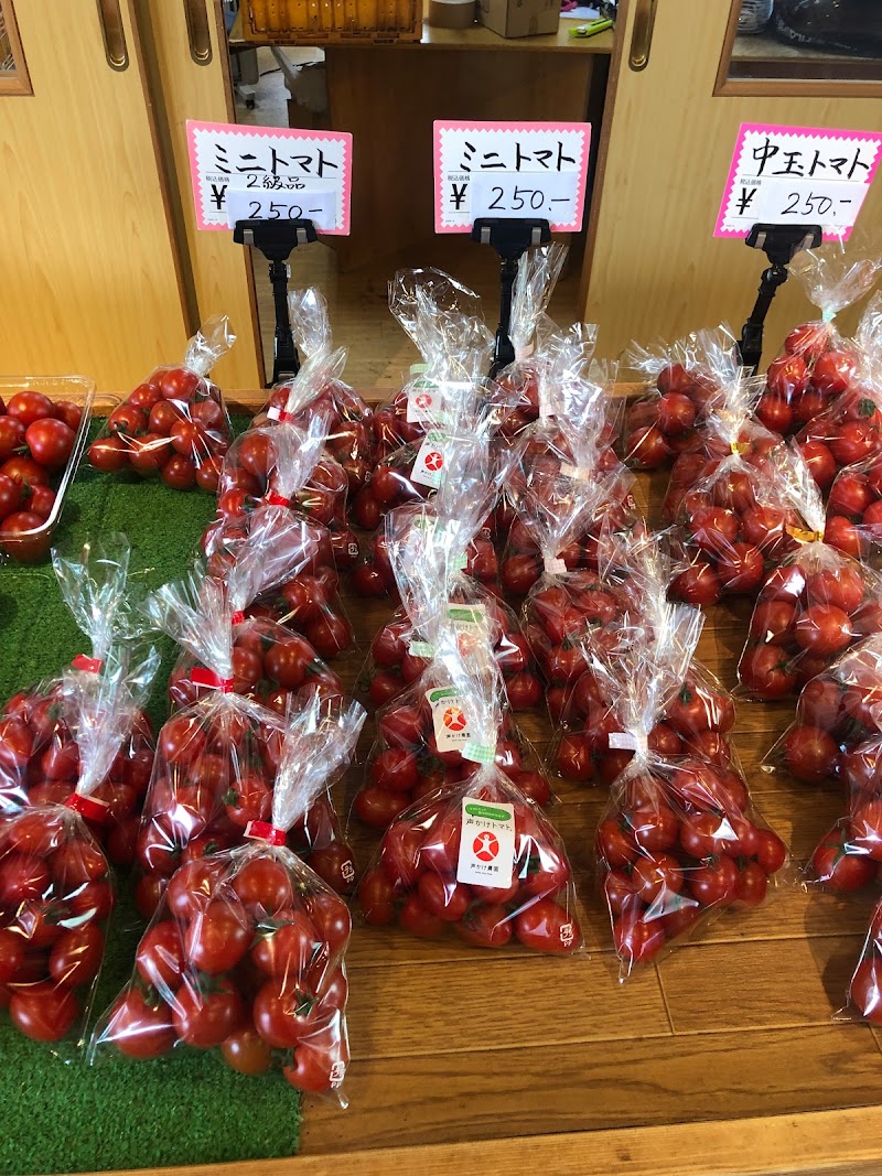 安井トマト店