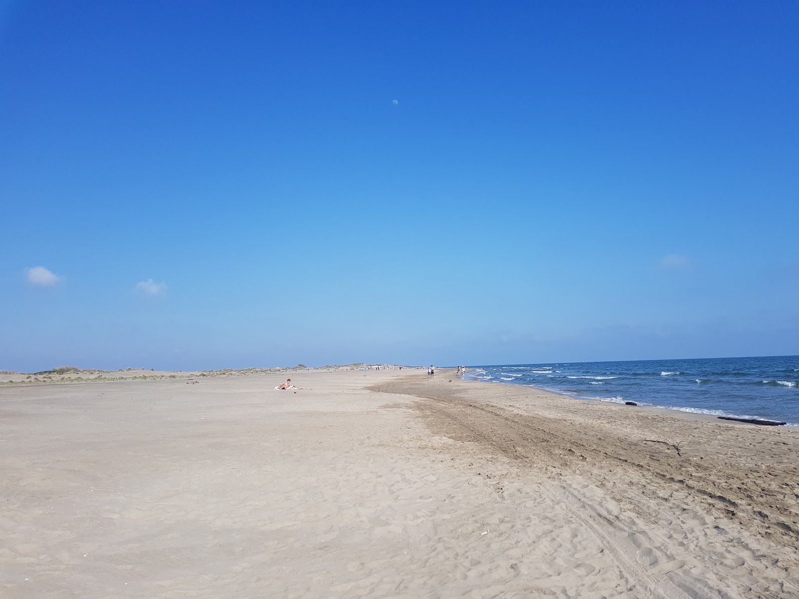 Fotografija Plaža Espiguette z svetel fin pesek površino