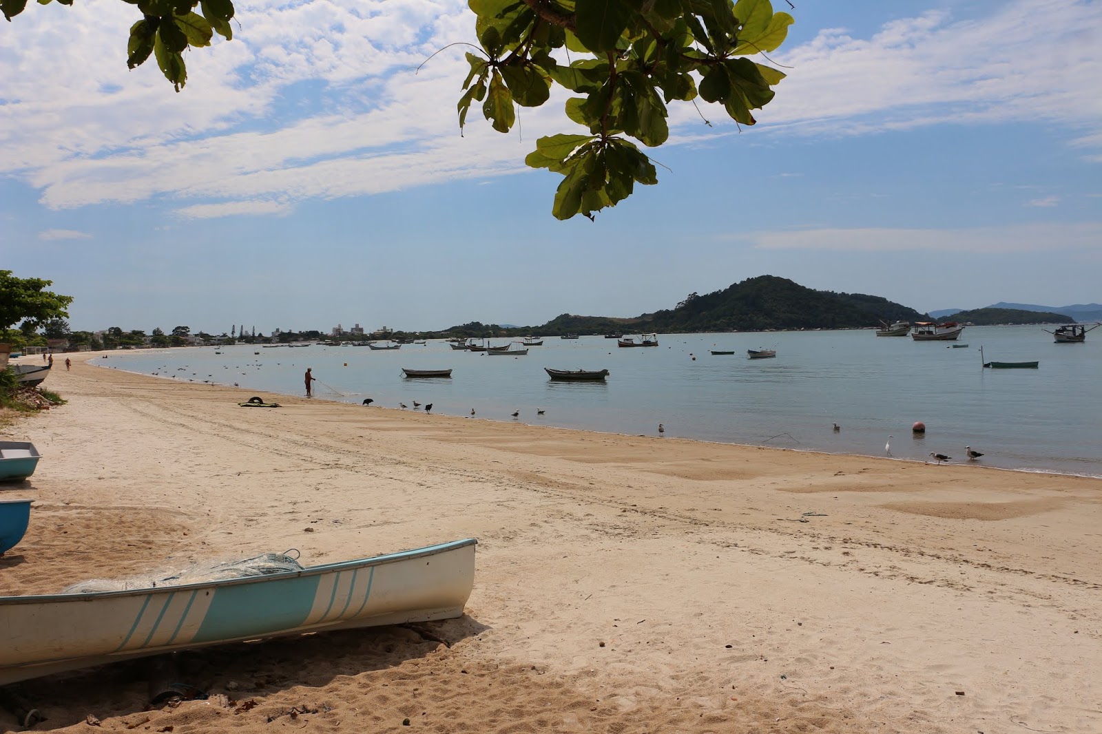 Praia Fazenda d'Armacao'in fotoğrafı uçurumlarla desteklenmiş
