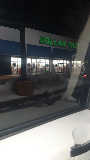 Dollar Store «Dollar Tree», reviews and photos, 9335 PA-61, Coal Township, PA 17866, USA