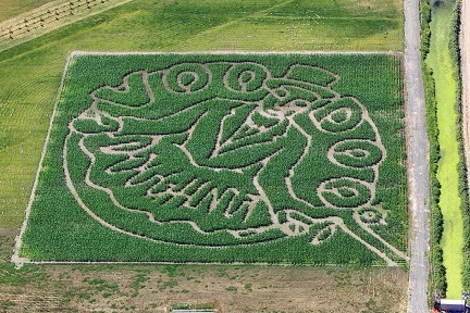 Farm «Bella Organic Farm», reviews and photos, 16205 NW Gillihan Rd, Portland, OR 97231, USA