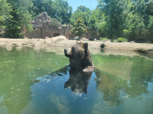 Zoo «Memphis Zoo», reviews and photos, 2000 Prentiss Pl, Memphis, TN 38112, USA