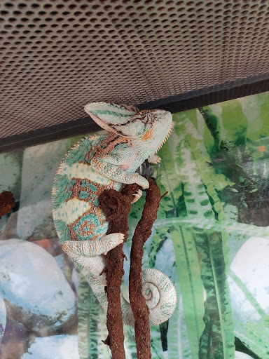 Pet Supply Store «Petco Animal Supplies», reviews and photos, 8500 Henry Ave #10, Philadelphia, PA 19128, USA