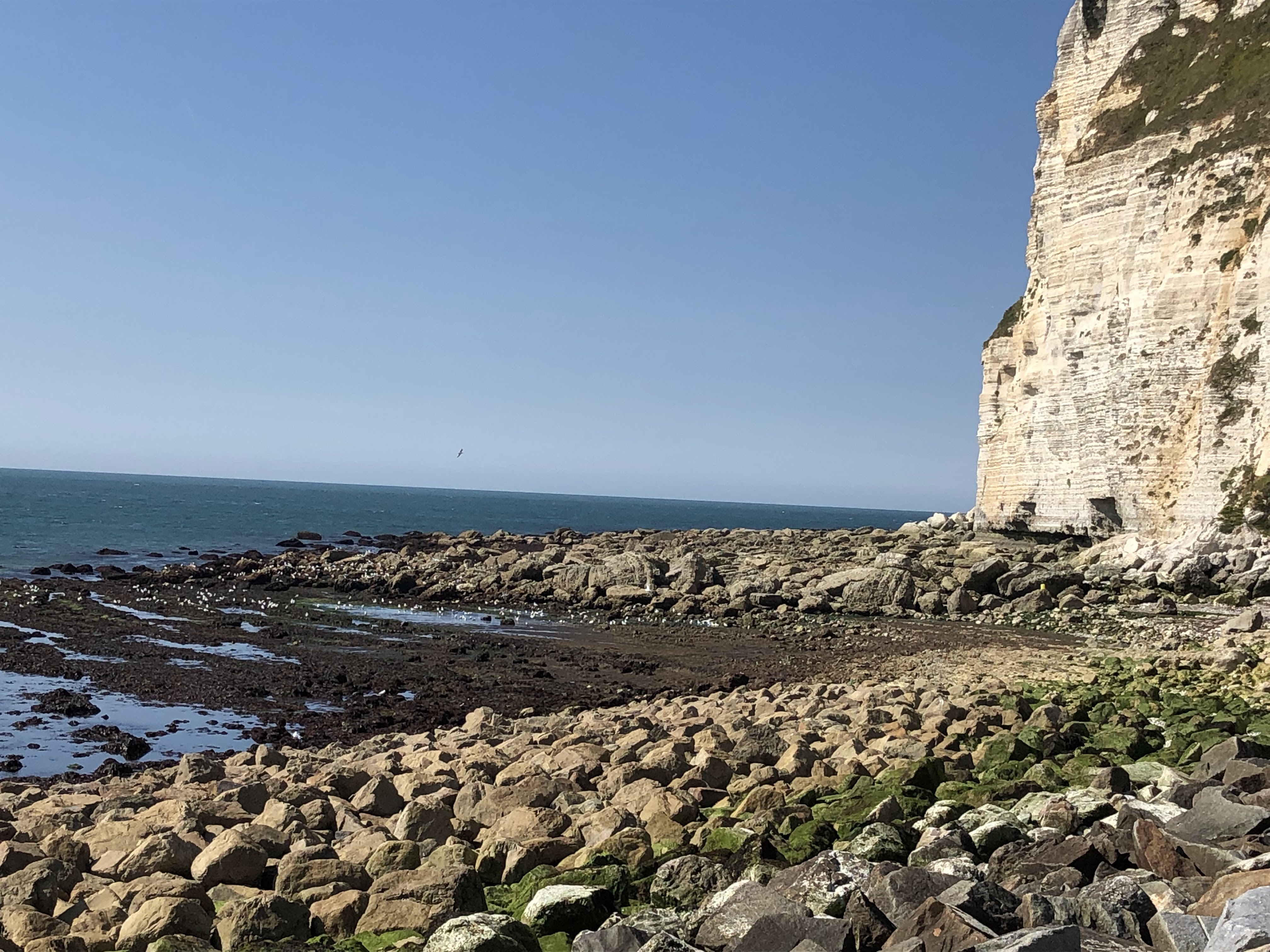 Photo n° 3 de l'avis de Elmar-Patrick.u fait le 10/07/2019 à 12:35