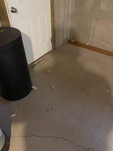 Insulation Contractor «HomeWorks Energy, Inc.», reviews and photos