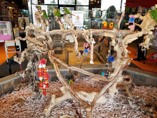 Pet Supply Store «All Pets Club», reviews and photos, 479 E Main St, Branford, CT 06405, USA