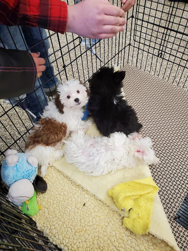 Pet Supply Store «Pet Ranch», reviews and photos, 3823 E 120th Ave, Denver, CO 80233, USA