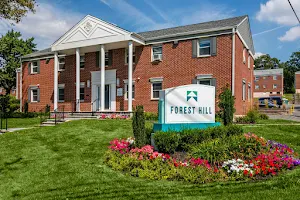 Forest Hill Apartments image