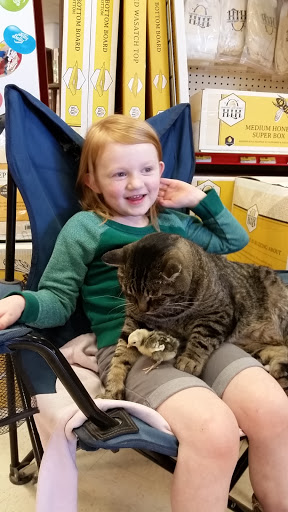 Home Improvement Store «Southfork Hardware - Grantsville», reviews and photos, 40 Commercial Avenue, Grantsville, UT 84029, USA