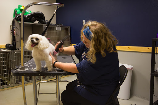 Alpine Animal Hospital image