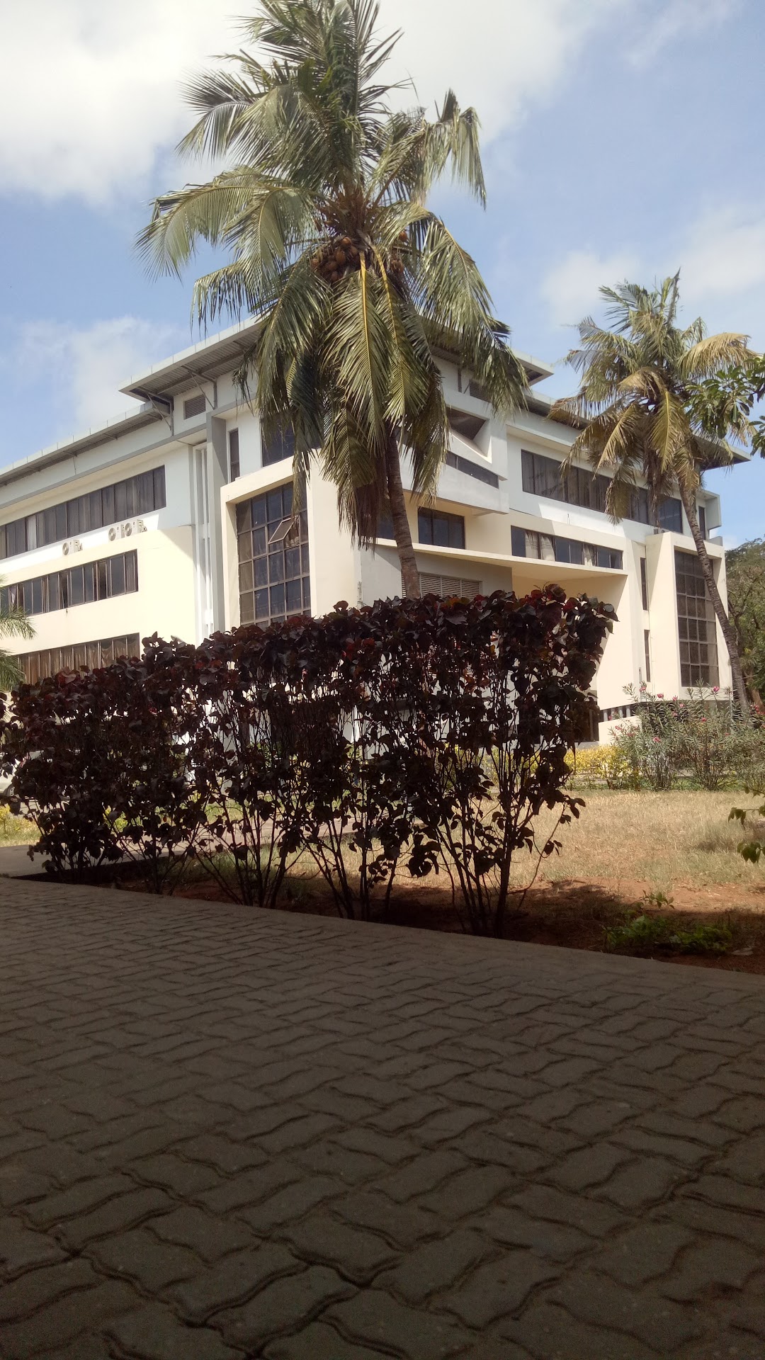 Dar es Salaam University College of Education