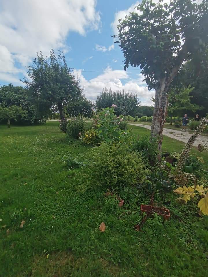 Photo n° 1 de l'avis de regis.a fait le 08/08/2021 à 16:07