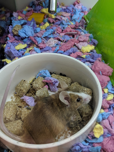 Pet Supply Store «Petco Animal Supplies», reviews and photos, 4345 U.S. 9, Freehold, NJ 07728, USA